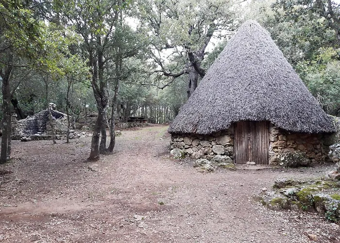 Comida & Experiences