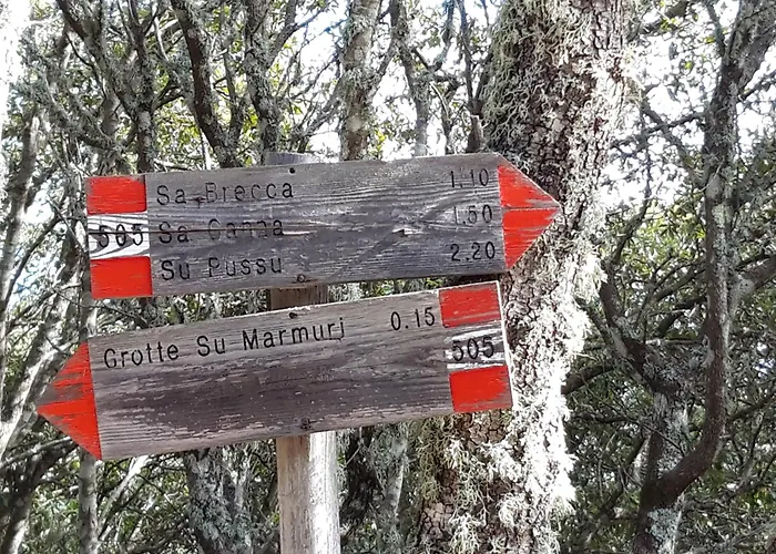 Vendégház Comida & Experiences Tortolì