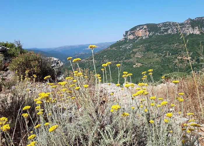 Comida & Experiences