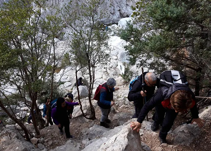 Comida & Experiences Vendégház 3*