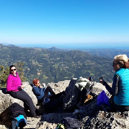 בית הארחה Comida & Experiences