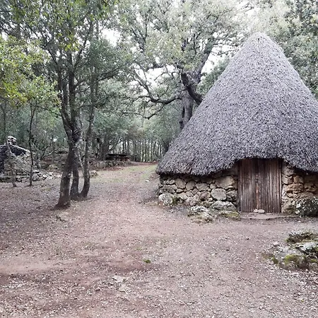 Comida & Experiences