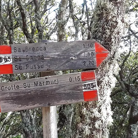 בית הארחה Comida & Experiences Tortolì