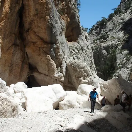 Comida & Experiences 招待所