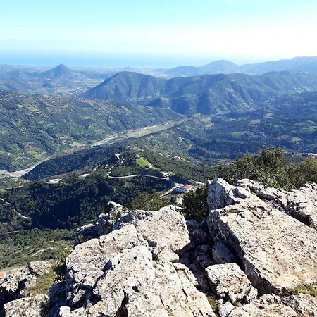 בית הארחה Comida & Experiences