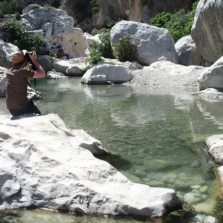 בית הארחה Comida & Experiences