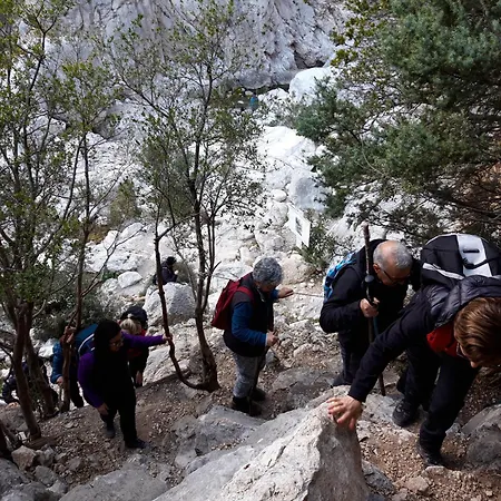 Comida & Experiences 招待所 3*